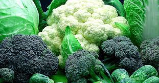 Could a Phytochemical derived from Vegetables like Broccoli be the Answer to Antibiotic Resistant Pathogens