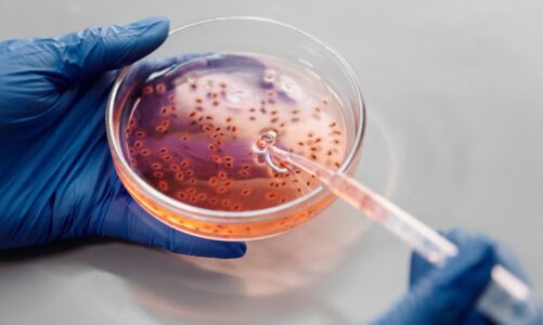 Genesis MedTech Antibacterial Sutures Approval